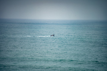 Fototapeta premium Barco nas ondas