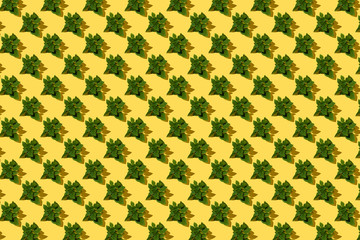 Many basil leaves on a yellow background, colorful seamless pattern