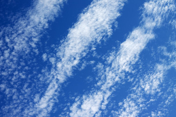Oleada de cielo.

Tarde donde despues de una larga lluvia, salio a relucir su mas hermoso azul