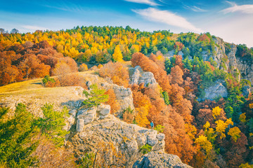 rocky mountains with bright colorful trees in autumn season,