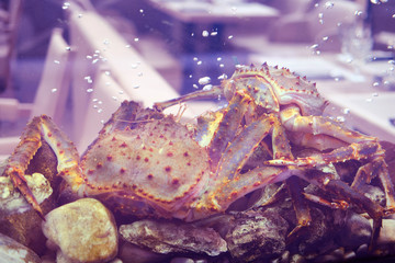 Live crabs in the aquarium on the background of a cafe with sea food
