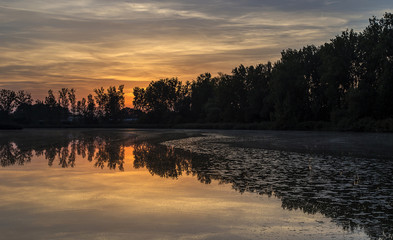 Obraz premium South Moravia, sunset over the surface of the Dlouhy pond. In the background, on the edge of the dam, a row of trees, deciduous poplars reflected in the surface of the pond.