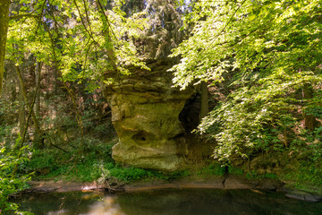 Die Schwarzachschlucht zwischen Feucht und Schwarzenbruck bietet einen schönen Wanderweg. Die...