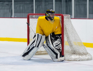 ice hockey goalie