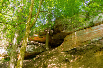 Die Schwarzachschlucht zwischen Feucht und Schwarzenbruck in der Nähe von Nürnberg bietet einen schönen Wanderweg. 
