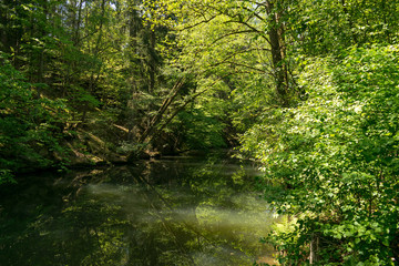 Die Schwarzachschlucht zwischen Feucht und Schwarzenbruck in der Nähe von Nürnberg bietet einen schönen Wanderweg mit Blick auf die Schwarzach. Der Fluss spiegelt das Grün der Bäume. - obrazy, fototapety, plakaty