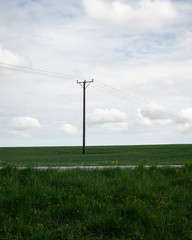 Fototapeta na wymiar A single power line pole stands tall above the green fields in the southern Sweden landscape called Skåne