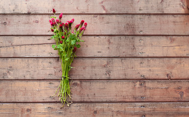 Glückwunsch Blumenstrauss aus rotem Klee auf rustikalem Holzlatten Hintergrund. Congratulation bouquet of red clovers on wooden planked background. 
