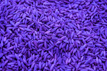 Rye grain violet color. Futuristic background, abstraction