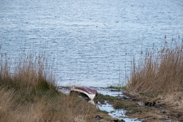 Naturschutzgebiet Zwillbrocker Venn