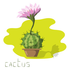 Blooming cactus on a bright background. Modern card design.