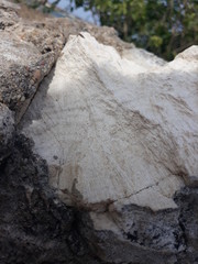 stone in the mountains