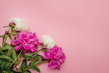 Layout of a minimalist postcard with a flower of pink peonies, an envelope for needlework, flowering, flat lay, top view. Pink background. Congratulations on mother's day. Happy Birthday. Delicate bac
