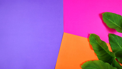 Bright color blocking summer flat lay with tropical leaves on orange, pink and purple background with negative copy space. Modern stylish top view minimalism creative layout.