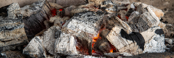 Details of charcoal for barbecue at picnic