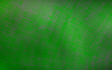 abstract green background