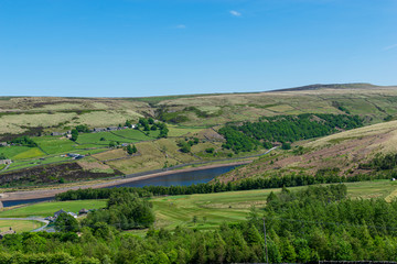 landscape with green fields and blue sky