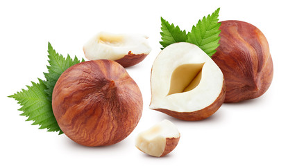 Hazelnut isolated on white background