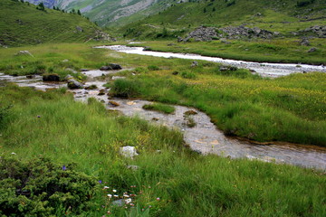 Fototapeta na wymiar Ruisseau dans les Alpes