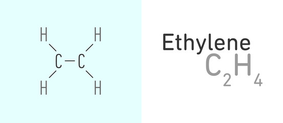 Fototapeta premium Ethylene (C2H4) gas molecule.Stick model. Structural Chemical Formula. Chemistry Education