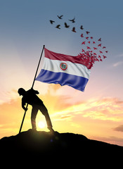 Paraguay flag turn to birds while being planted by a man on a hill during sunrise.