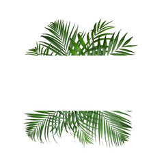Fototapeta premium Frame made of beautiful lush tropical leaves on white background, top view. Space for text