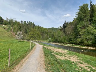 Fototapeta na wymiar Wanderweg, Uferweg am Fluss Sihl im Sihlwald, Kanton Zürich - Schweiz