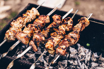 Close up of toasted shashlik on skewers. Succulent barbecue roasting on chargrill. Concept of picnic outdoor.