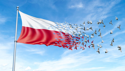Poland flag on a pole turn to birds while waving against a blue sky background - 3D illustration.