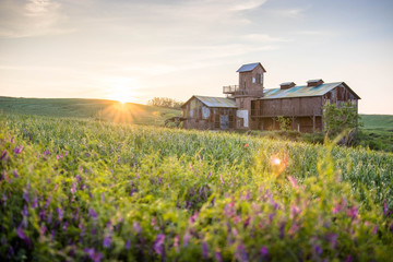 old barn in the field