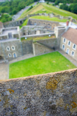 Lichen on Dover Castle wall Abstract