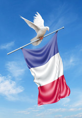 France flag on a pole is carried by a bird while flying against a blue sky background - 3D illustration.