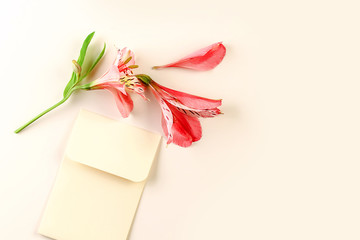 Alstroemeria flower with a pink envelope on a light background. Minimal composition. Mock-up, creative minimalism, flat lay. Top view, copy space.