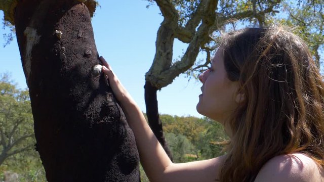 Close up of woman stroking bark of harvested cork tree in Algarve, Portugal