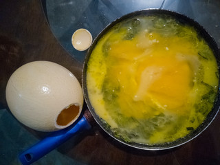Ostrich egg