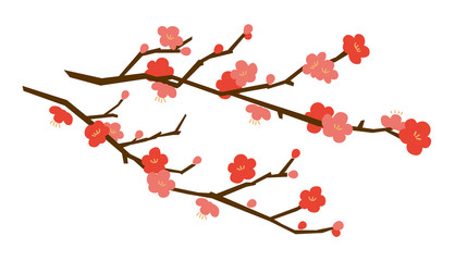 梅の花