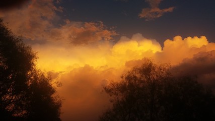 Obraz na płótnie Canvas Trees Against Sky During Sunset