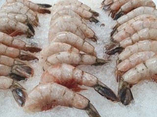 raw and fresh seafood for cooking