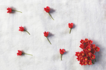 background decorated with red flowers 