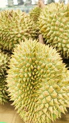 Naklejka na ściany i meble Durian fruit - durian fruit in large quantities, durian fruit in the market, durian fruit .