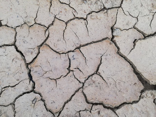 dry cracked earth