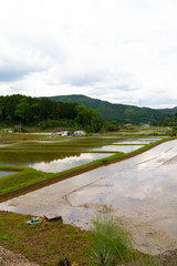 日本の田園風景