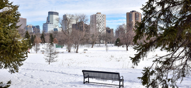 Empty Bench And Bare Trees At Minneapolis Sculpture Garden During Winter