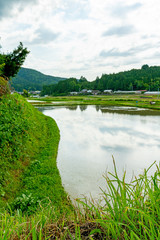 Fototapeta premium 田舎の田園風景