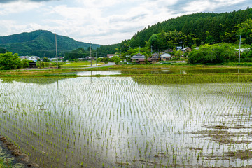 日本の田舎