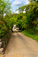 Fototapeta na wymiar 日本の田舎道