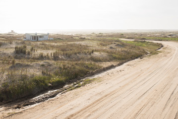 Sandy road with truck tracks in Cabo Polonio, Uruguay