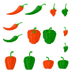 Colorful vector pepper drawing set. Vector illustration, line drawing set of pepper vector illustration. outline capsicum green, red capsicum,