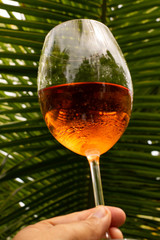 Crystal glass with rose wine in a toast attitude. High class concept. Refreshing alcoholic drink made with grapes.