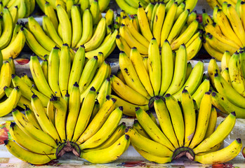 Bananas for sale on a fruit market stall in Quito, Ecuador, the largest exporter of bananas in the world.
